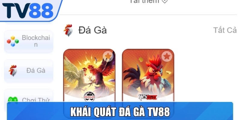 Đá gà TV88 là chuyên mục giải trí hàng đầu dành cho mọi kê thủ