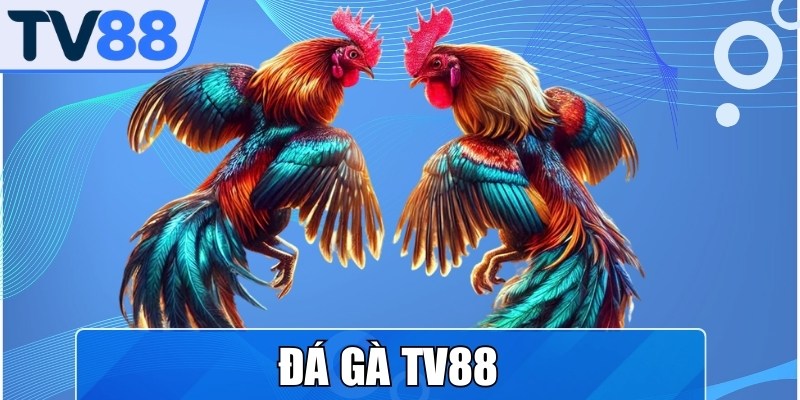 Đá Gà TV88