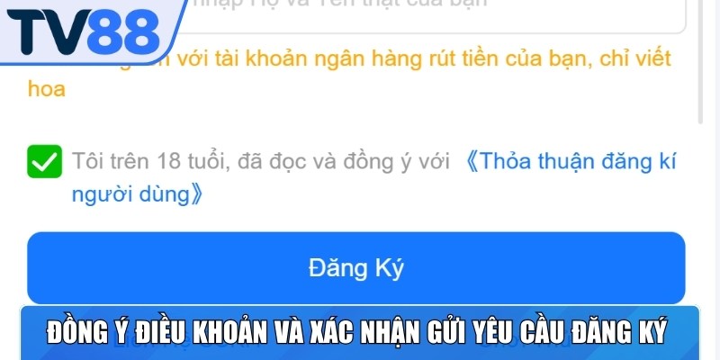 Đồng ý điều khoản và xác nhận gửi yêu cầu đăng ký để mở tài khoản
