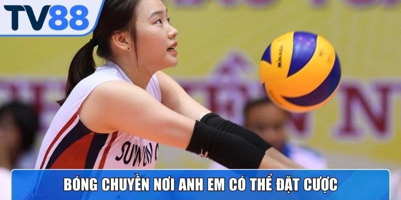 Bóng chuyền nơi anh em có thể đặt cược vào những giải đấu quốc tế uy tín