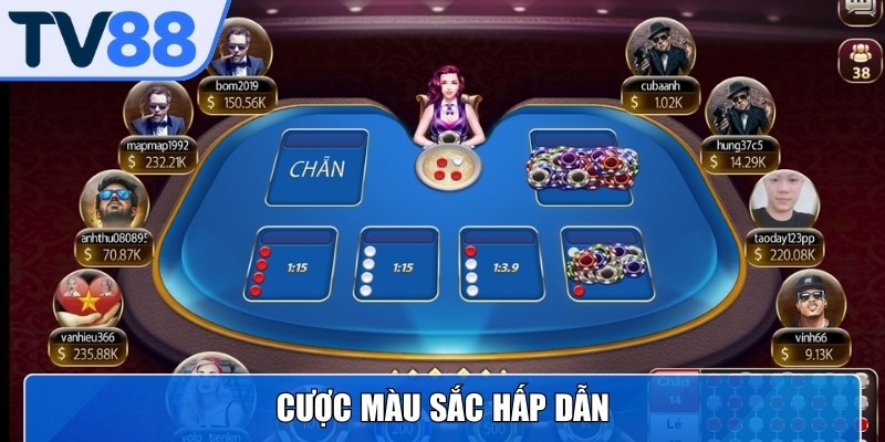 Cược màu sắc hấp dẫn bởi tỷ lệ trả thưởng cao